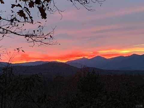 Tiny photo for 553 Gun Mountain Dr Dr, Monroe, VA 24574 (MLS # 362409)