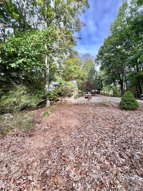 Tiny photo for 553 Gun Mountain Dr Dr, Monroe, VA 24574 (MLS # 362409)