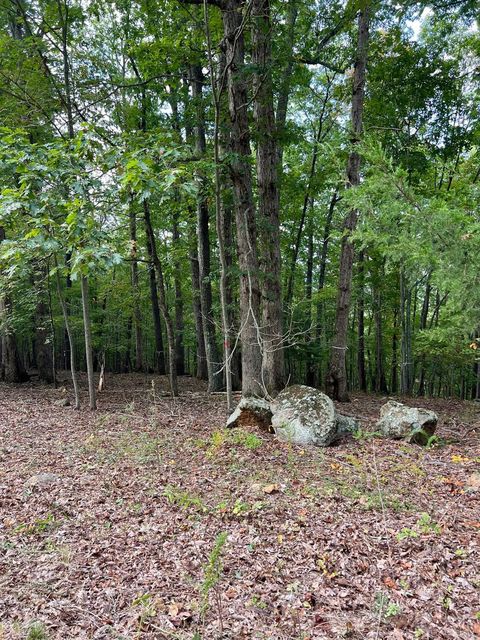 Tiny photo for 553 Gun Mountain Dr Dr, Monroe, VA 24574 (MLS # 362409)