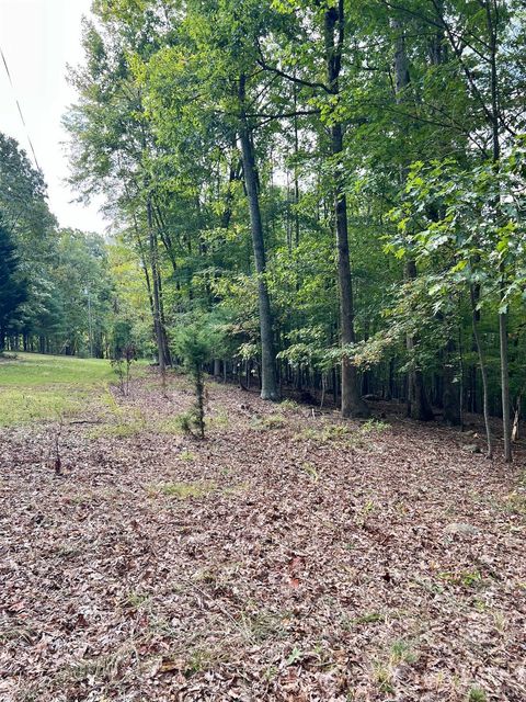 Tiny photo for 553 Gun Mountain Dr Dr, Monroe, VA 24574 (MLS # 362409)