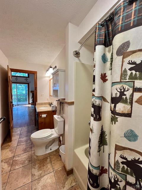 Tiny photo for 553 Gun Mountain Dr Dr, Monroe, VA 24574 (MLS # 362409)