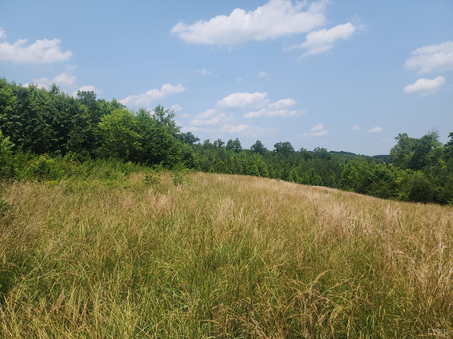 Foxfire, Gladys, Virginia image 7