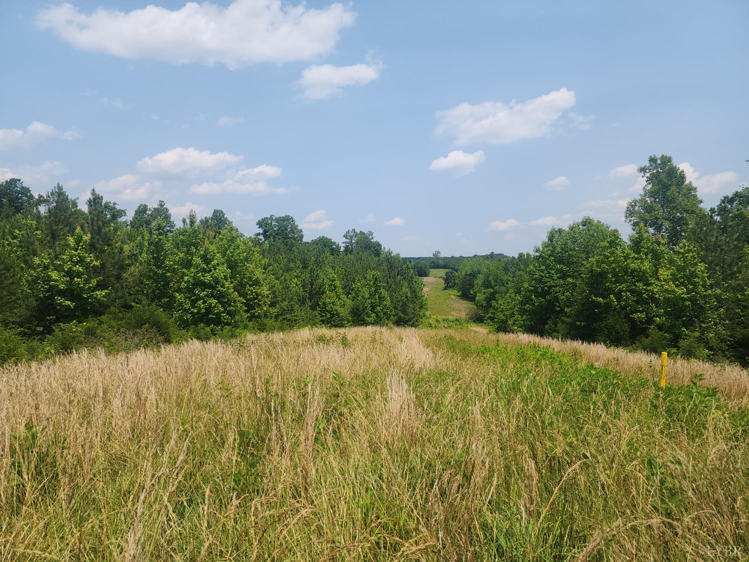 Foxfire, Gladys, Virginia image 10