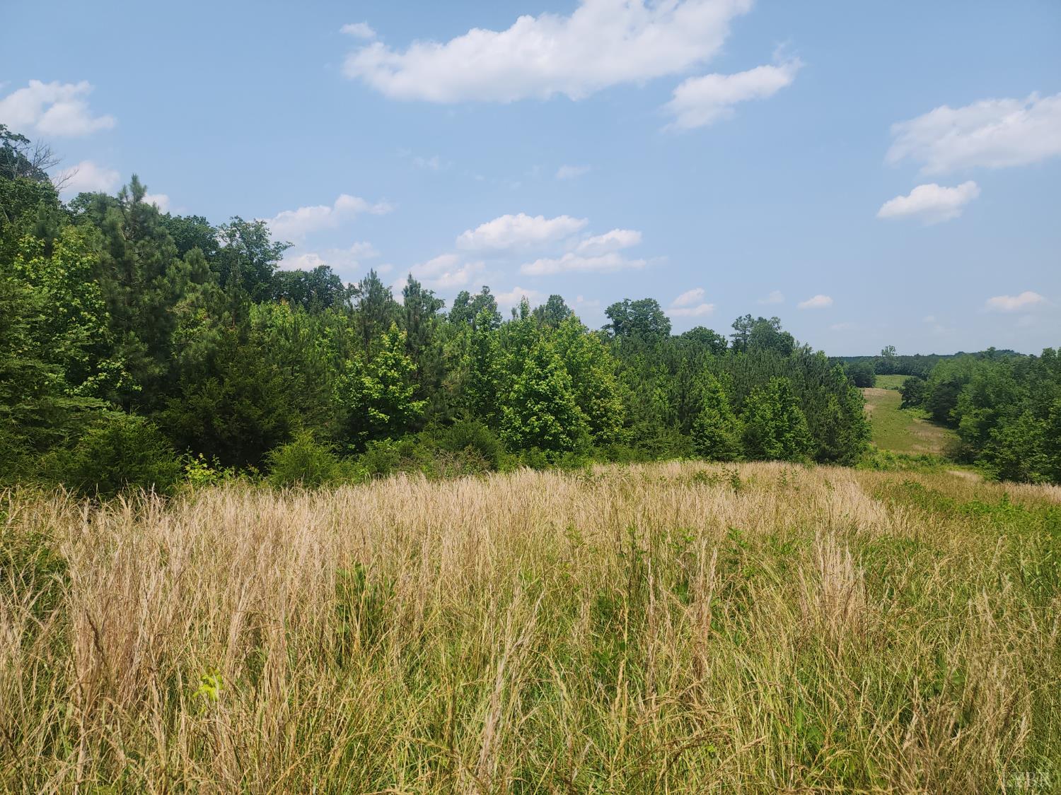 Foxfire, Gladys, Virginia image 9