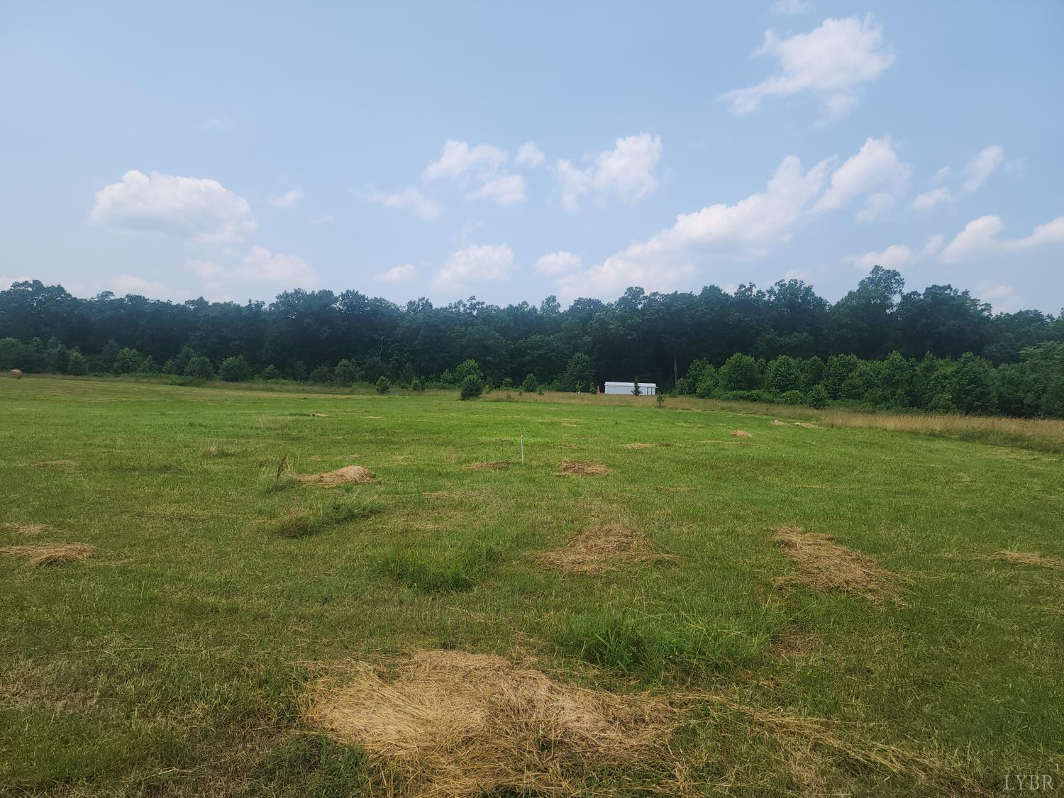 Foxfire, Gladys, Virginia image 4