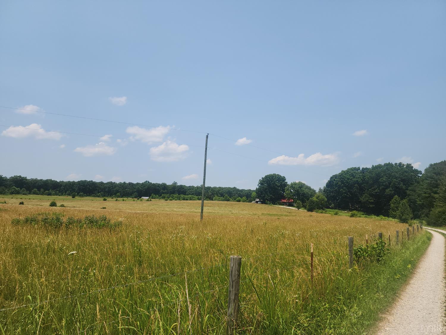 Foxfire, Gladys, Virginia image 2