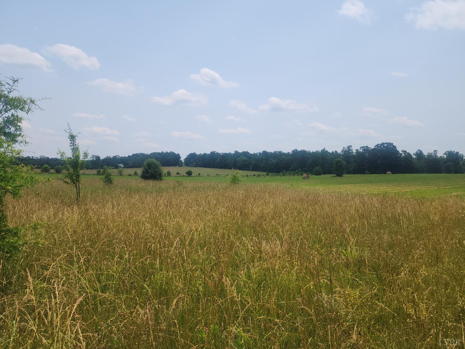 Foxfire, Gladys, Virginia image 6