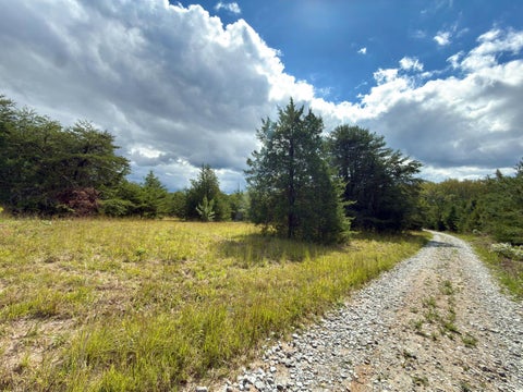 Vacant Land For Sale - Lot 56a Bethany Road<br/> Campbell County, Rustburg, VA 24588
