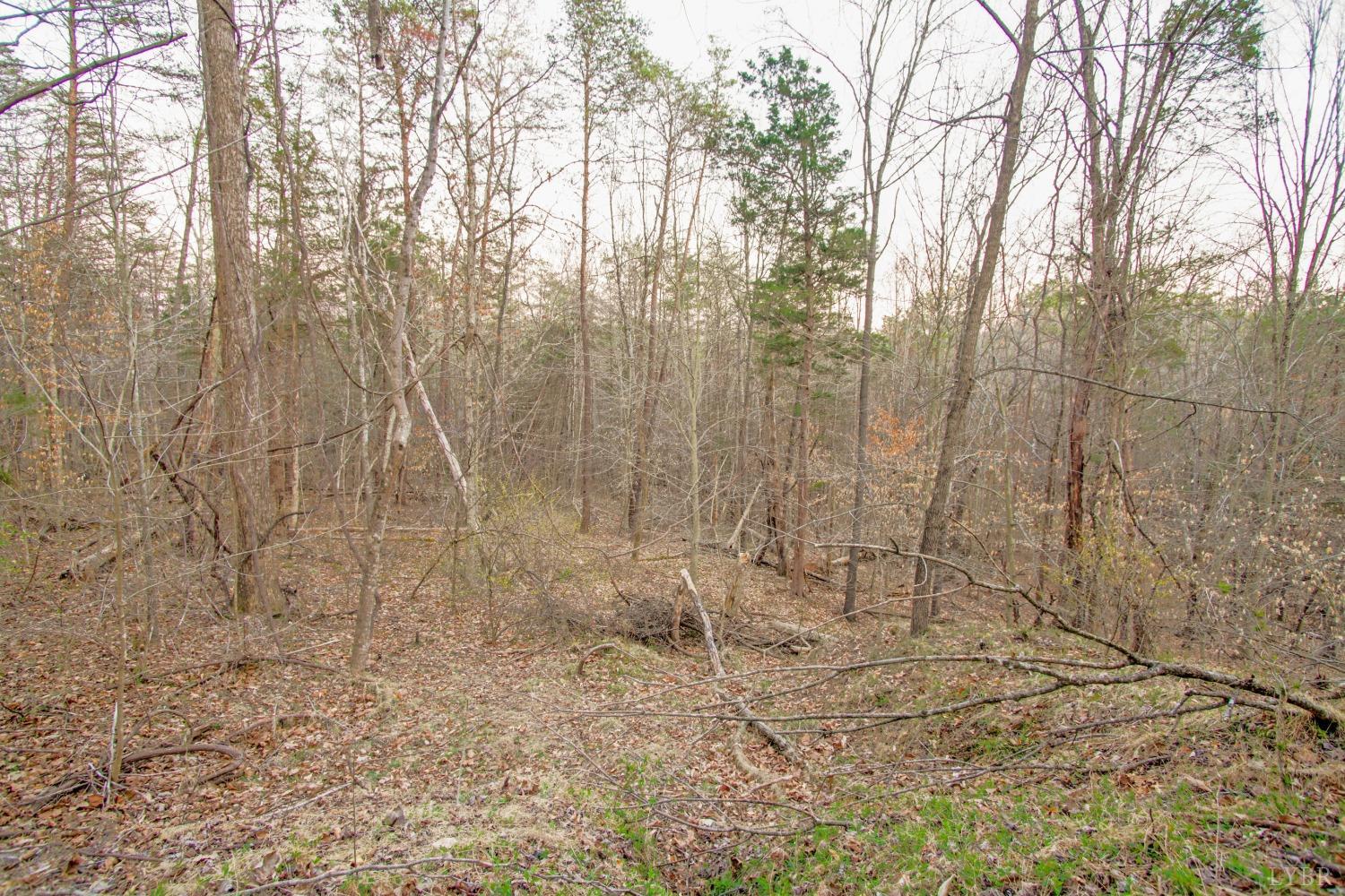 3510 Bear Creek Road, Rustburg, Virginia image 40