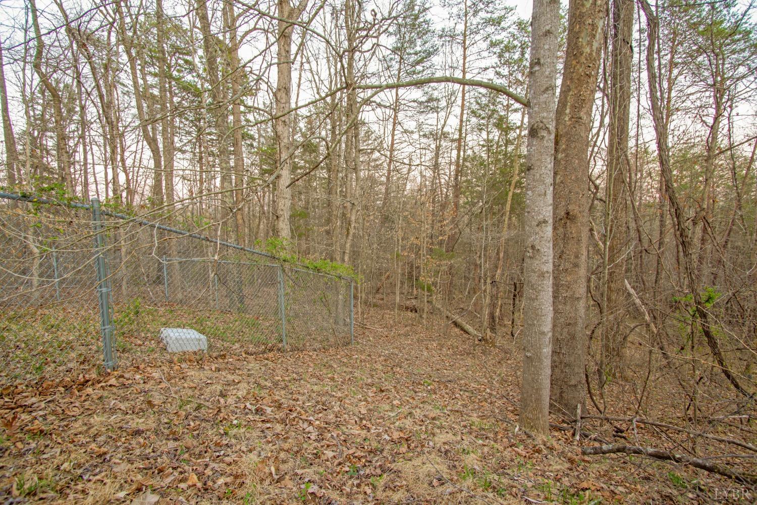 3510 Bear Creek Road, Rustburg, Virginia image 41