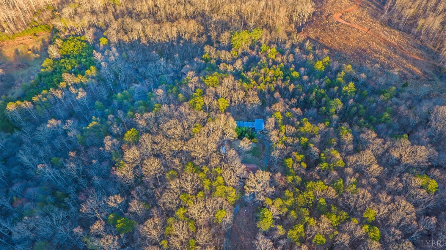 3510 Bear Creek Road, Rustburg, Virginia image 50