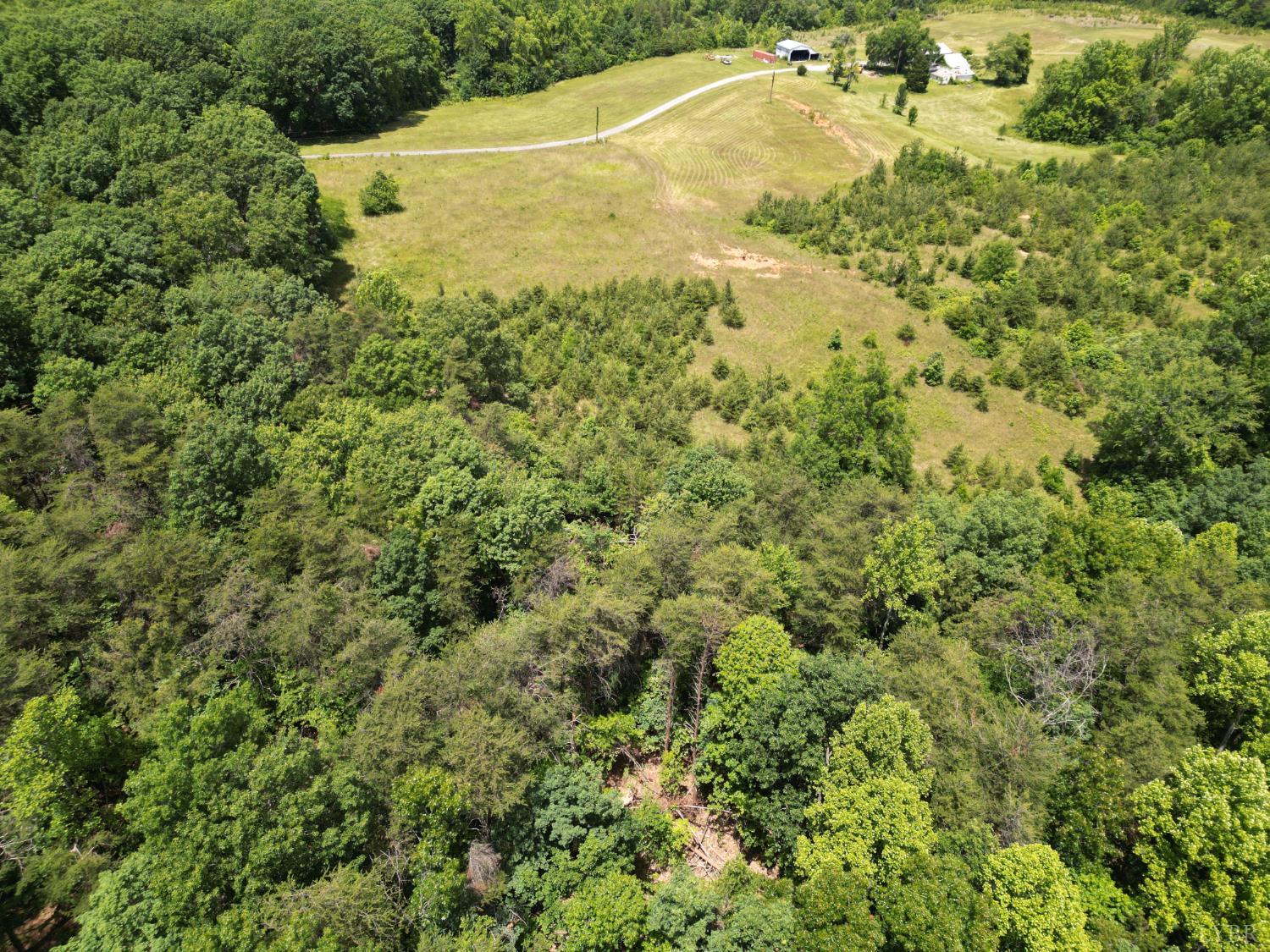 Castle Craig Drive, Evington, Virginia image 7