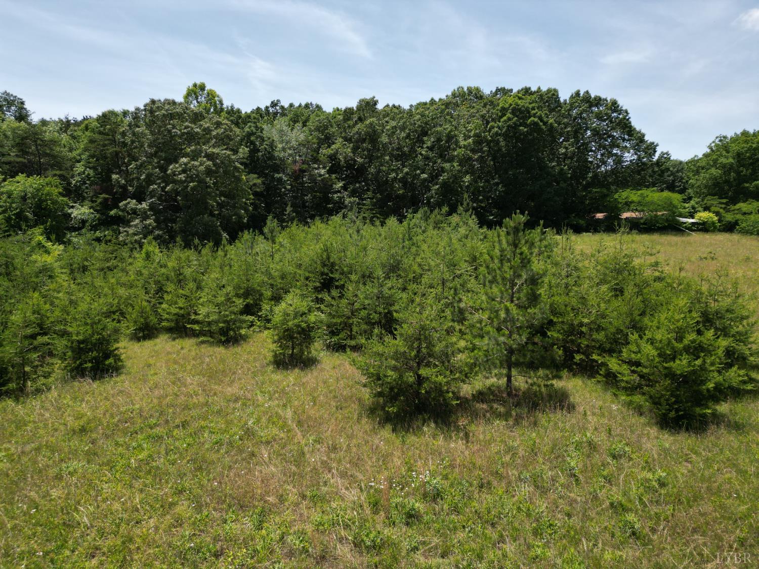 Castle Craig Drive, Evington, Virginia image 19