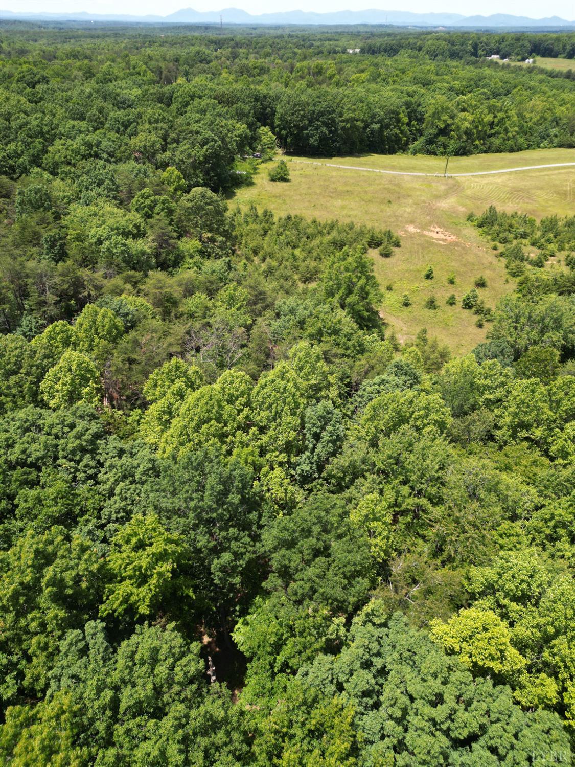 Castle Craig Drive, Evington, Virginia image 6