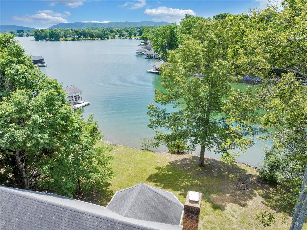 414 Strawberry Banks Drive, Moneta, Virginia image 10