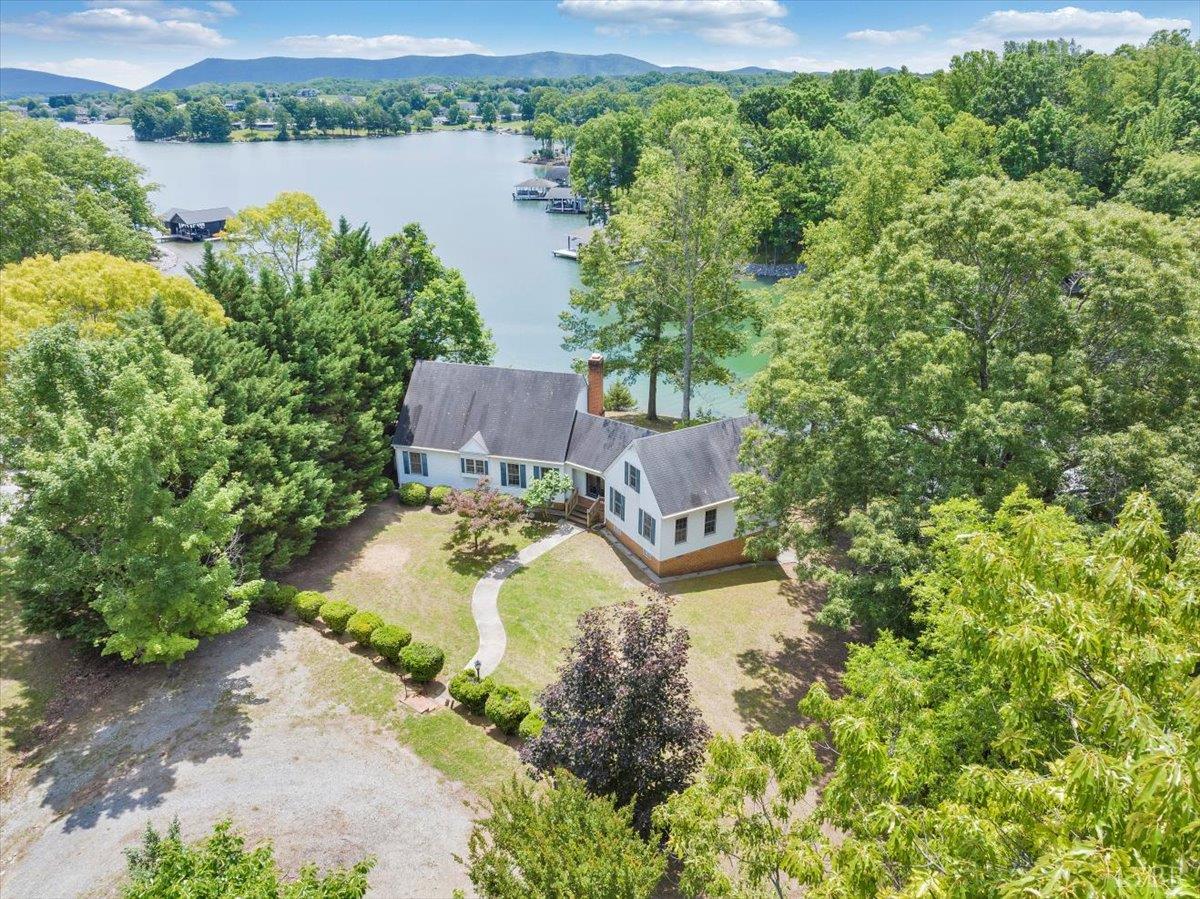 414 Strawberry Banks Drive, Moneta, Virginia image 3
