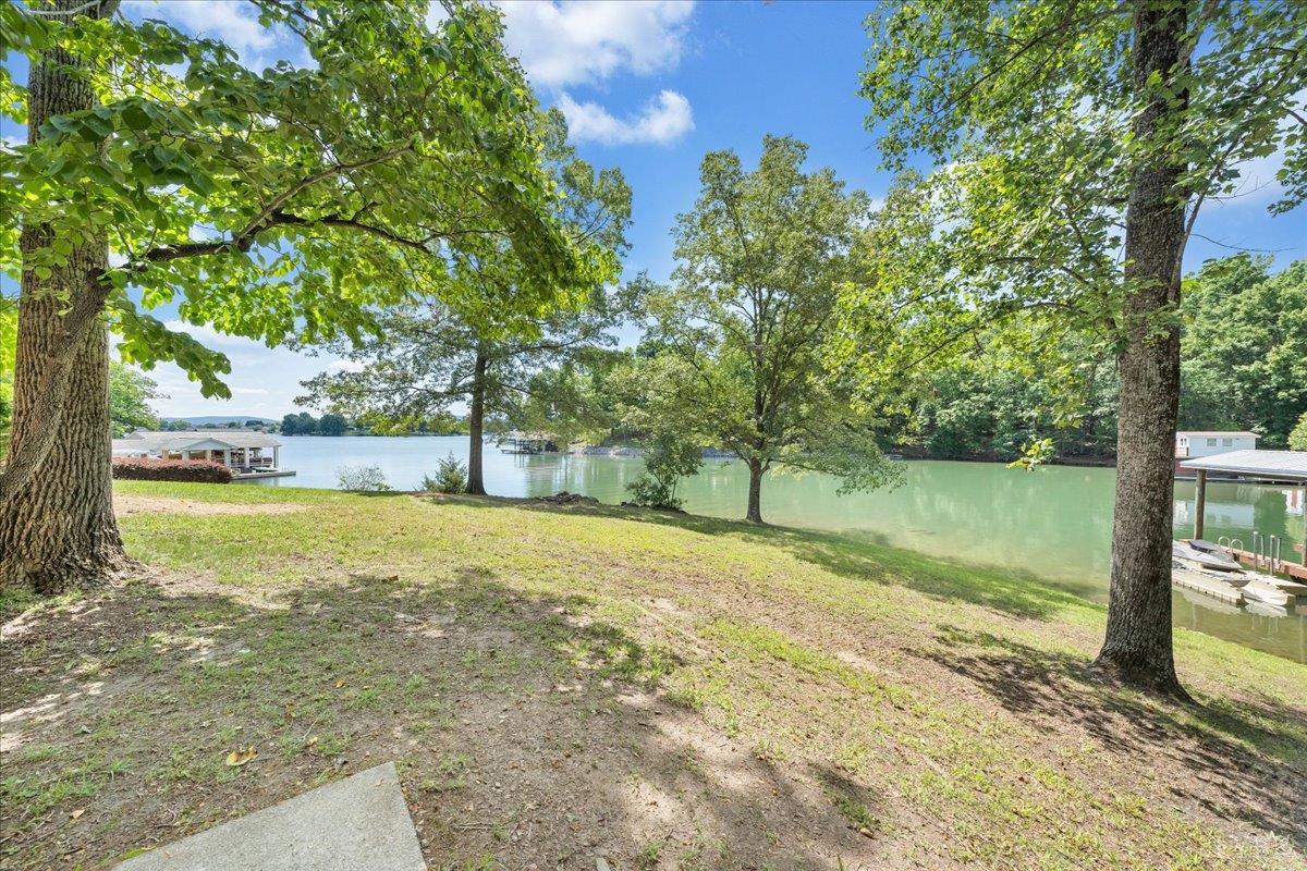 414 Strawberry Banks Drive, Moneta, Virginia image 50