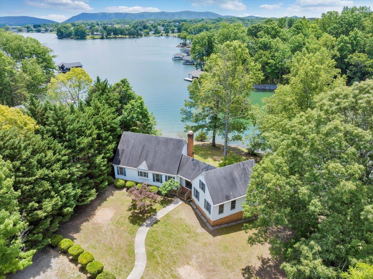 414 Strawberry Banks Drive, Moneta, Virginia image 11