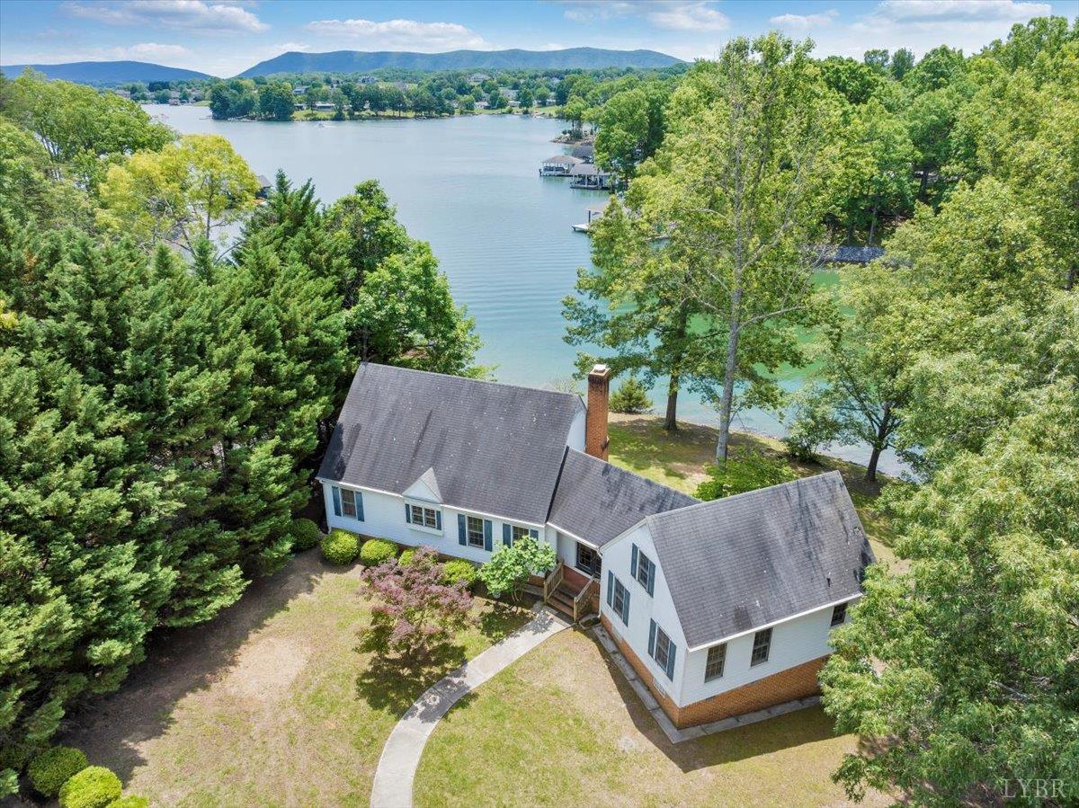 414 Strawberry Banks Drive, Moneta, Virginia image 1
