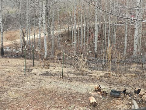 Tiny photo for 4183 TYE RIVER Road, Amherst, VA 24521 (MLS # 364524)