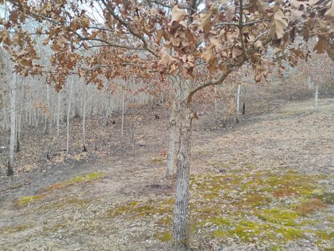 Tiny photo for 4183 TYE RIVER Road, Amherst, VA 24521 (MLS # 364524)