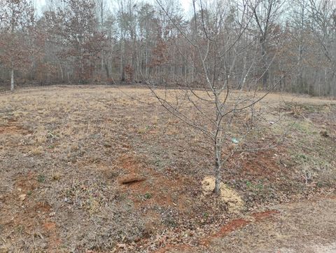 Tiny photo for 4183 TYE RIVER Road, Amherst, VA 24521 (MLS # 364524)