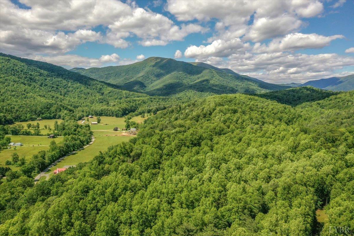 261 Carrington Ln Ln, Roseland, Virginia image 3