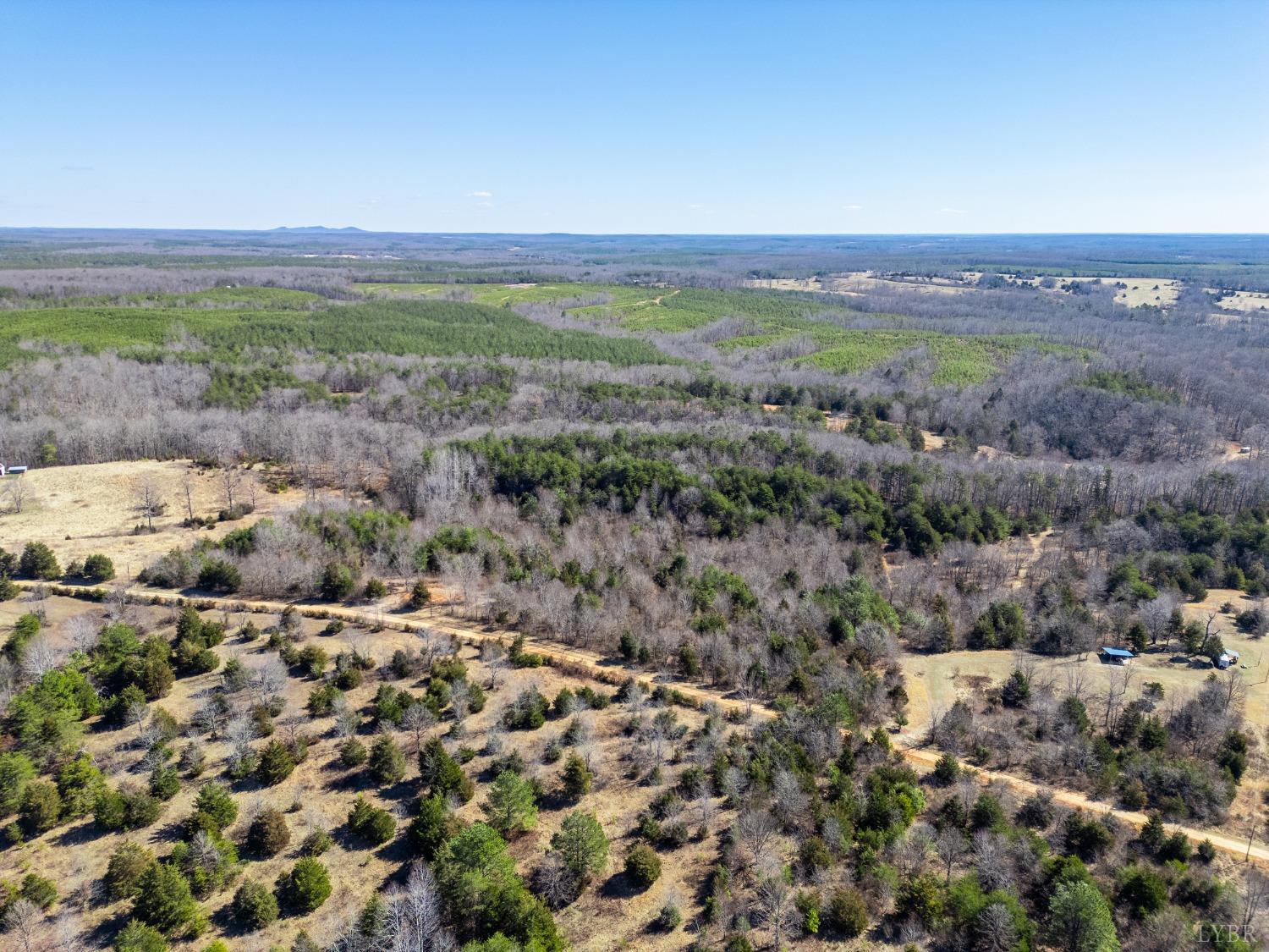 1900 Blackberry Lane, Appomattox, Virginia image 1