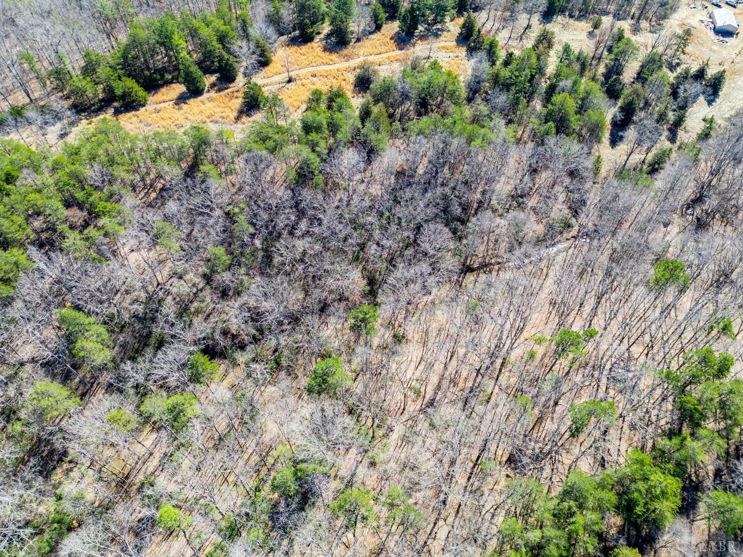 1900 Blackberry Lane, Appomattox, Virginia image 8