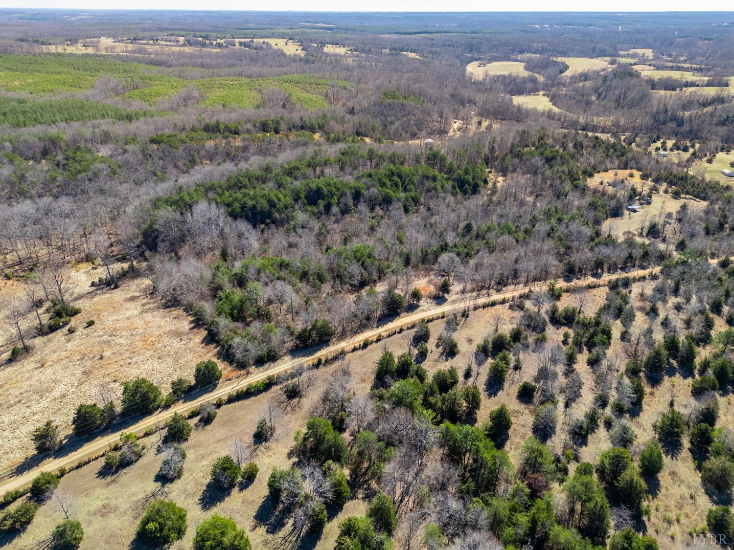 1900 Blackberry Lane, Appomattox, Virginia image 11