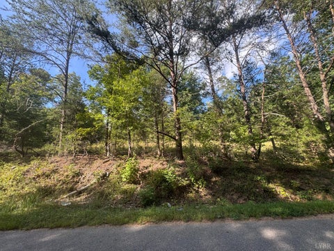 Photo of 1377 Riverville Road, Gladstone, VA 24553 (MLS # 369058)
