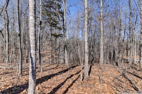 Tiny photo for 416 Mimosa Lane, Rustburg, VA 24588 (MLS # 364492)