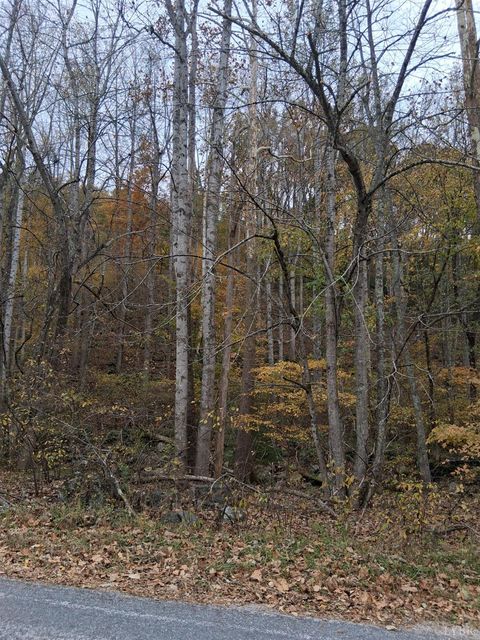 Photo of 0 North Fork, Amherst, VA 24521 (MLS # 362798)