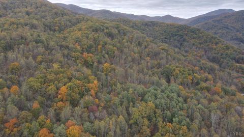 Tiny photo for 0 North Fork, Amherst, VA 24521 (MLS # 362798)