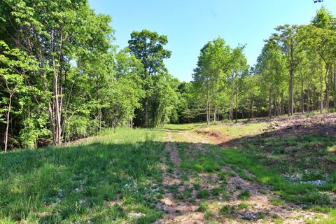 Tiny photo for 0 Tower Hill Road, Appomattox, VA 24522 (MLS # 366653)