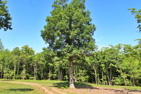 Tiny photo for 0 Tower Hill Road, Appomattox, VA 24522 (MLS # 366653)