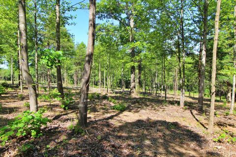 Tiny photo for 0 Tower Hill Road, Appomattox, VA 24522 (MLS # 366653)