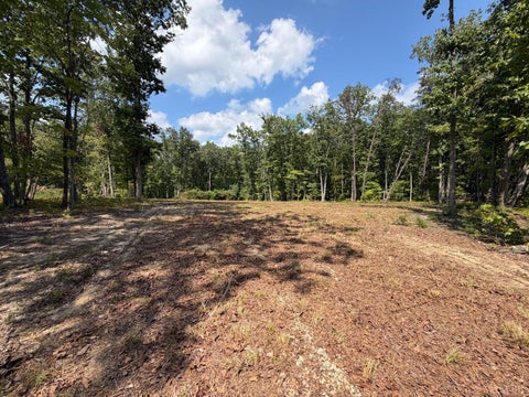 Vacant Land For Sale - Bent Creek Lot 3 Road<br/> Appomattox County, Concord, VA 24538