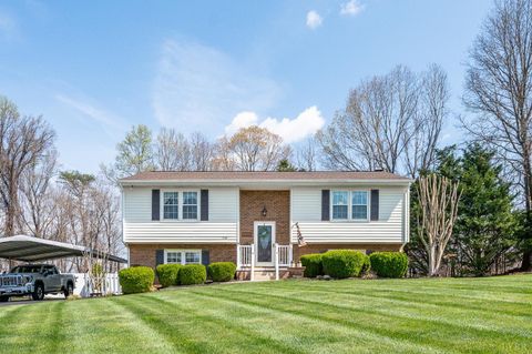 Photo of 1136 Coolbrook Road, Bedford, VA 24523 (MLS # 365452)