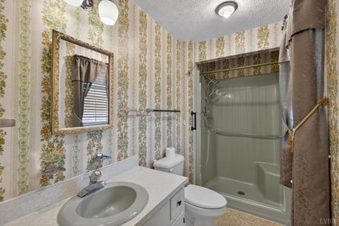 Tiny photo for 163 Baldwin Circle Cir, Lynchburg, VA 24502 (MLS # 365473)