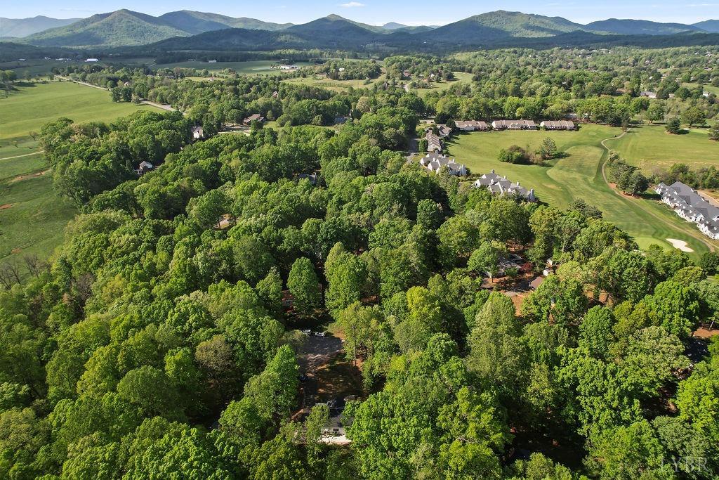 1038 Oak Leaf Court, Forest, Virginia image 37