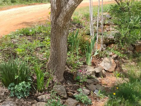 Tiny photo for 4183 TYE RIVER Road, Amherst, VA 24521 (MLS # 365867)