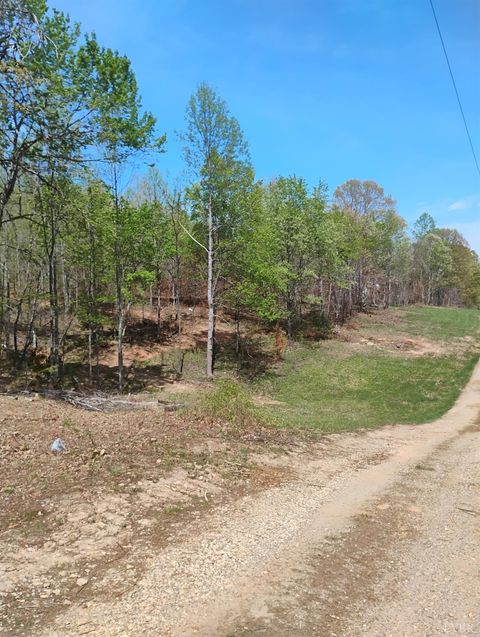 Tiny photo for 4183 TYE RIVER Road, Amherst, VA 24521 (MLS # 365867)