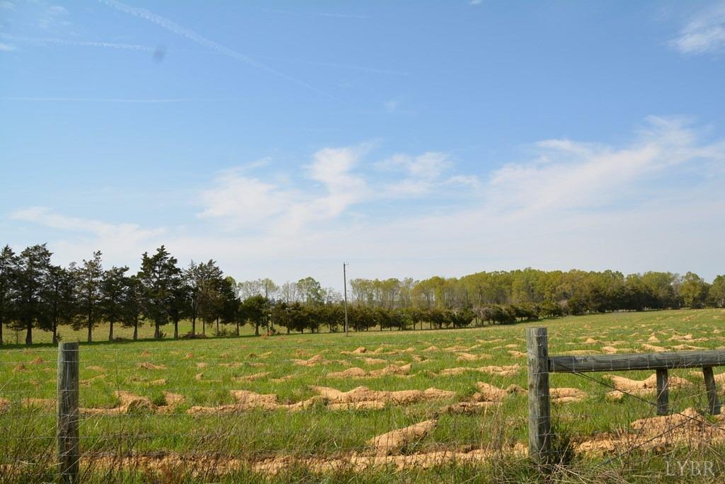Cedar Lane, Farmville, Virginia image 8