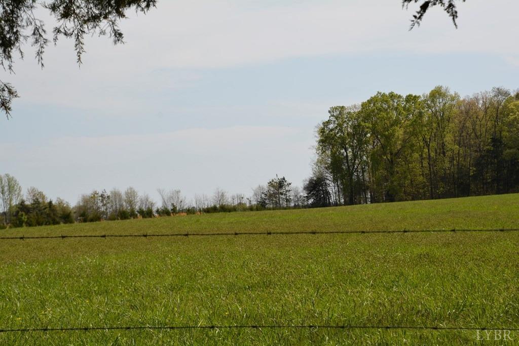 Cedar Lane, Farmville, Virginia image 4