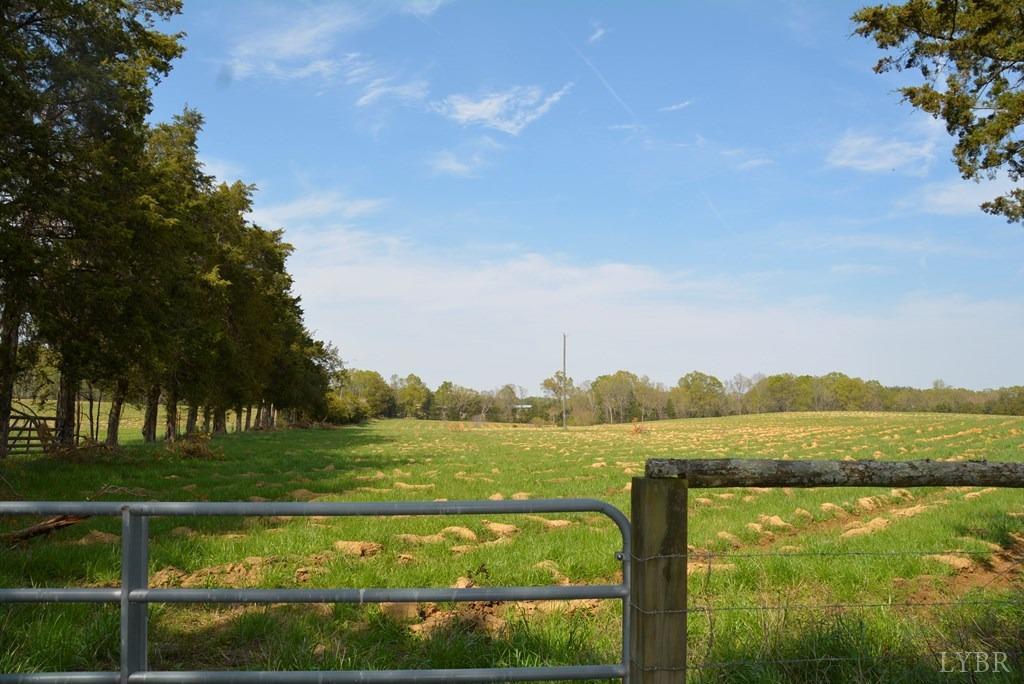 Cedar Lane, Farmville, Virginia image 7