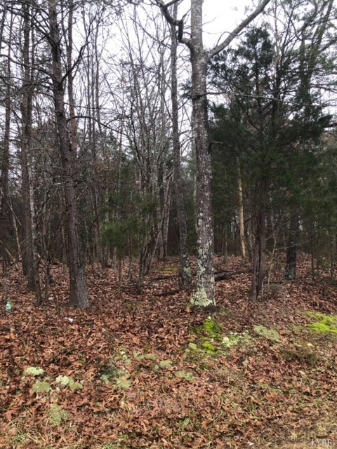 Vacant Land For Sale - 3b Mohawk<br/> Campbell County, Gladys, VA 24554