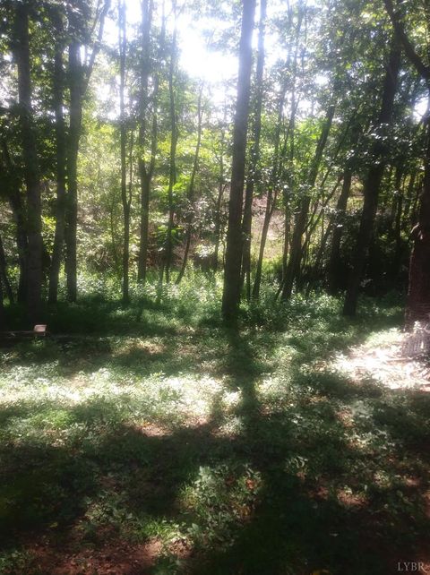 Tiny photo for 4947 Stones Dairy Road, Bassett, VA 24055 (MLS # 361780)