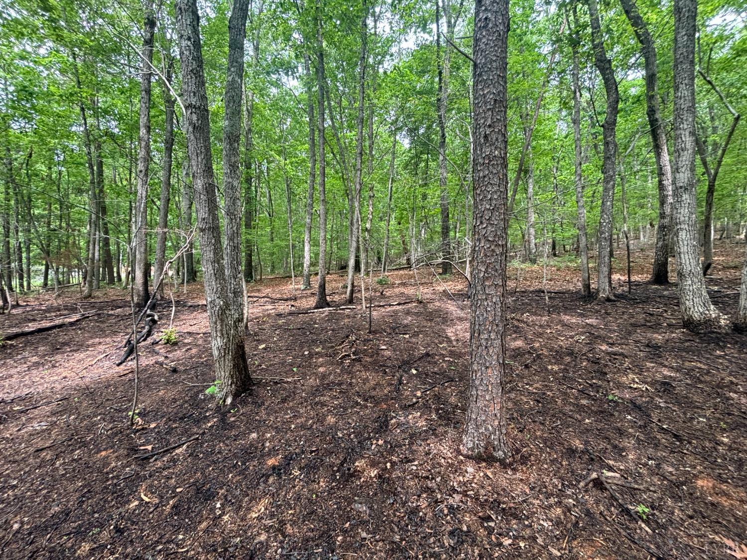 5 7th Street, Altavista, Virginia image 3