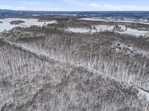 Tiny photo for 0 W Haven Lane, Concord, VA 24538 (MLS # 363949)